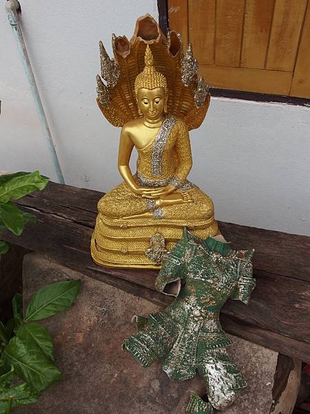 P6110073.JPG P6110073.JPG