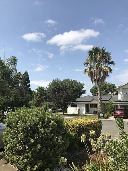 IMG_3084.JPG IMG_3084.JPG