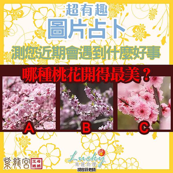 心理測驗1011.jpg 心理測驗1011.jpg