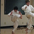 front thrust kick