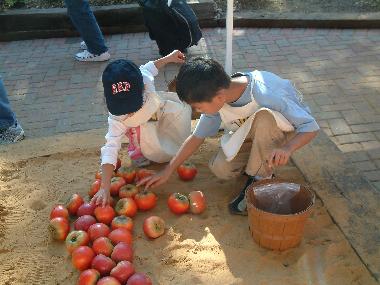 dig up vegetables