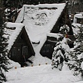 Cabin 14