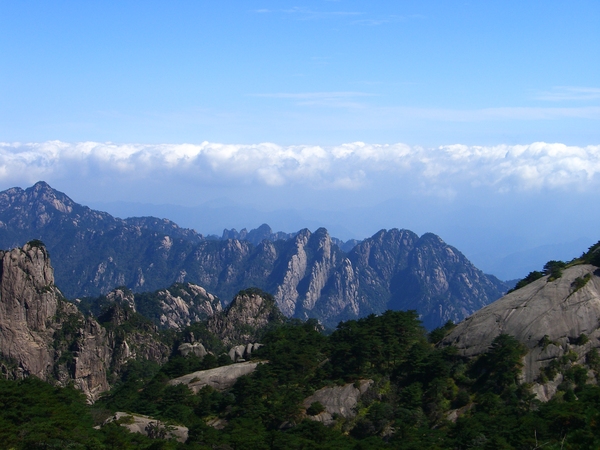 在鰲魚峰頂看到的景觀