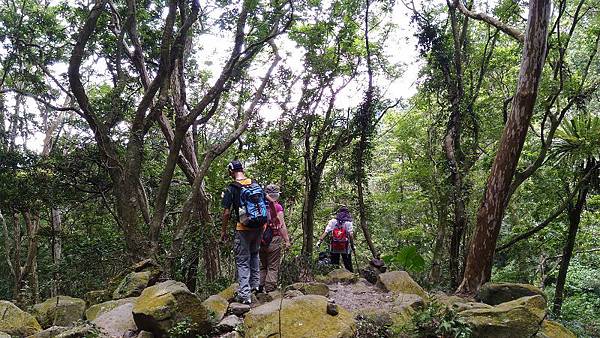 P_20160806_113330.jpg
