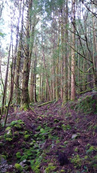P_20171203_072435.jpg