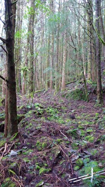 P_20171203_072042.jpg