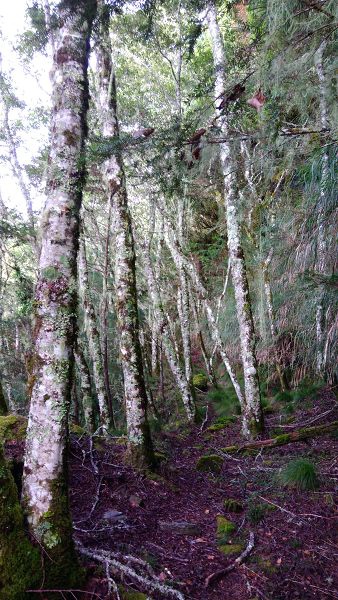 P_20171203_082900.jpg