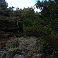P_20171203_141125.jpg