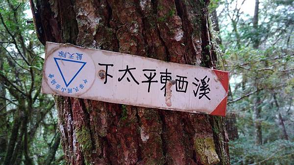 P_20180331_132746.jpg