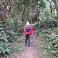 IMG_9570.jpg