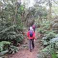 IMG_9569.jpg
