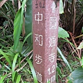 IMG_9568.jpg