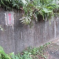 IMG_9567.jpg