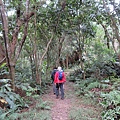 IMG_9571.jpg