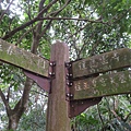 IMG_9573.jpg