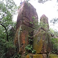 IMG_9579.jpg