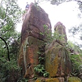 IMG_9578.jpg