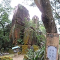 IMG_9575.jpg