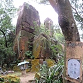 IMG_9576.jpg