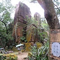 IMG_9577.jpg
