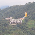 IMG_9582.jpg