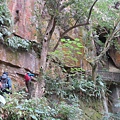 IMG_9599.jpg