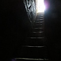 IMG_9604.jpg