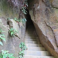 IMG_9603.jpg