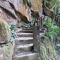 IMG_9601.jpg
