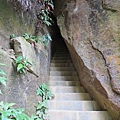IMG_9602.jpg