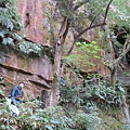 IMG_9600.jpg