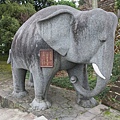 IMG_9620.jpg