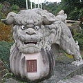 IMG_9619.jpg