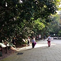 P_20200122_145607.jpg