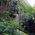 P_20200122_153223.jpg