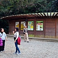P_20200122_162602.jpg