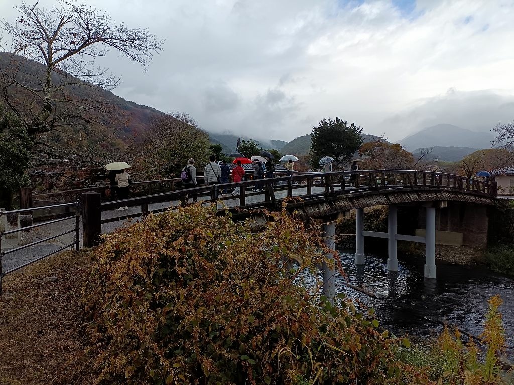 20231114~28關西自由行d4(嵐山與金閣寺)