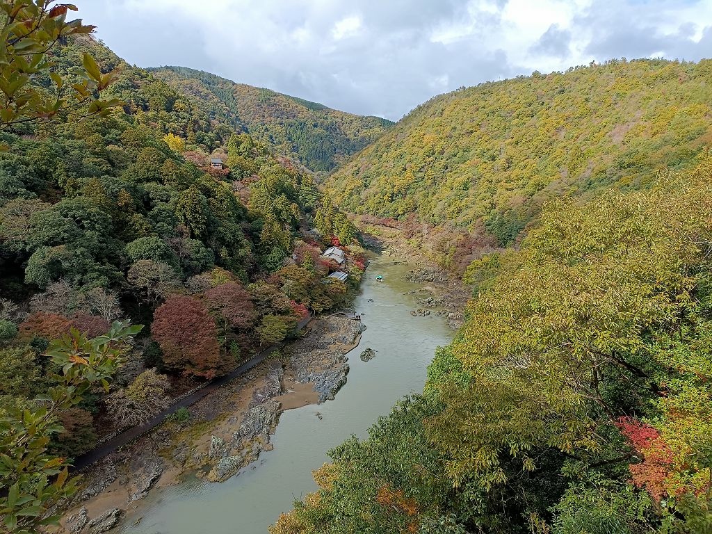 20231114~28關西自由行d4(嵐山與金閣寺)