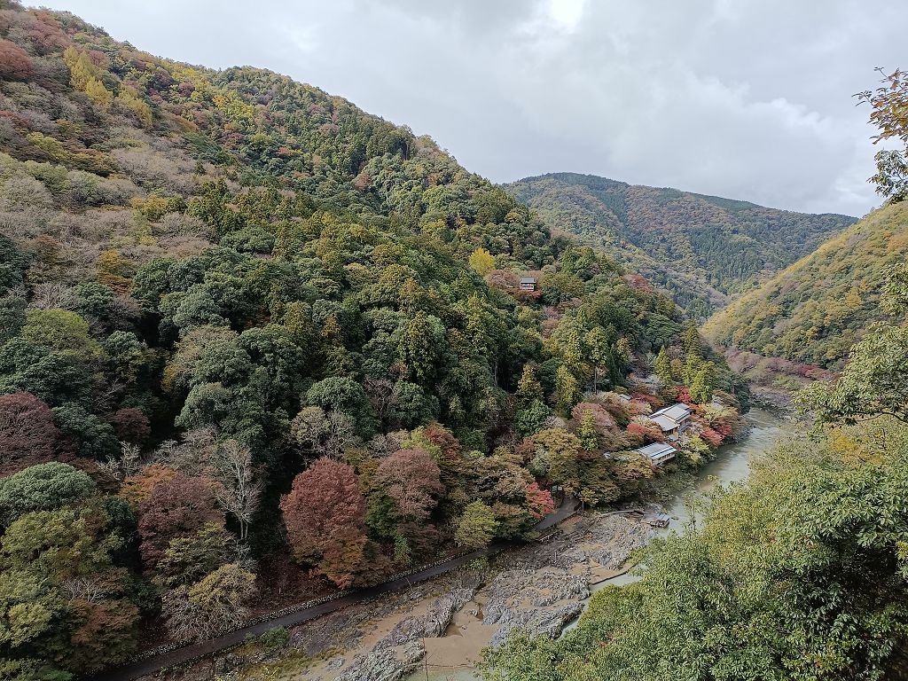 20231114~28關西自由行d4(嵐山與金閣寺)