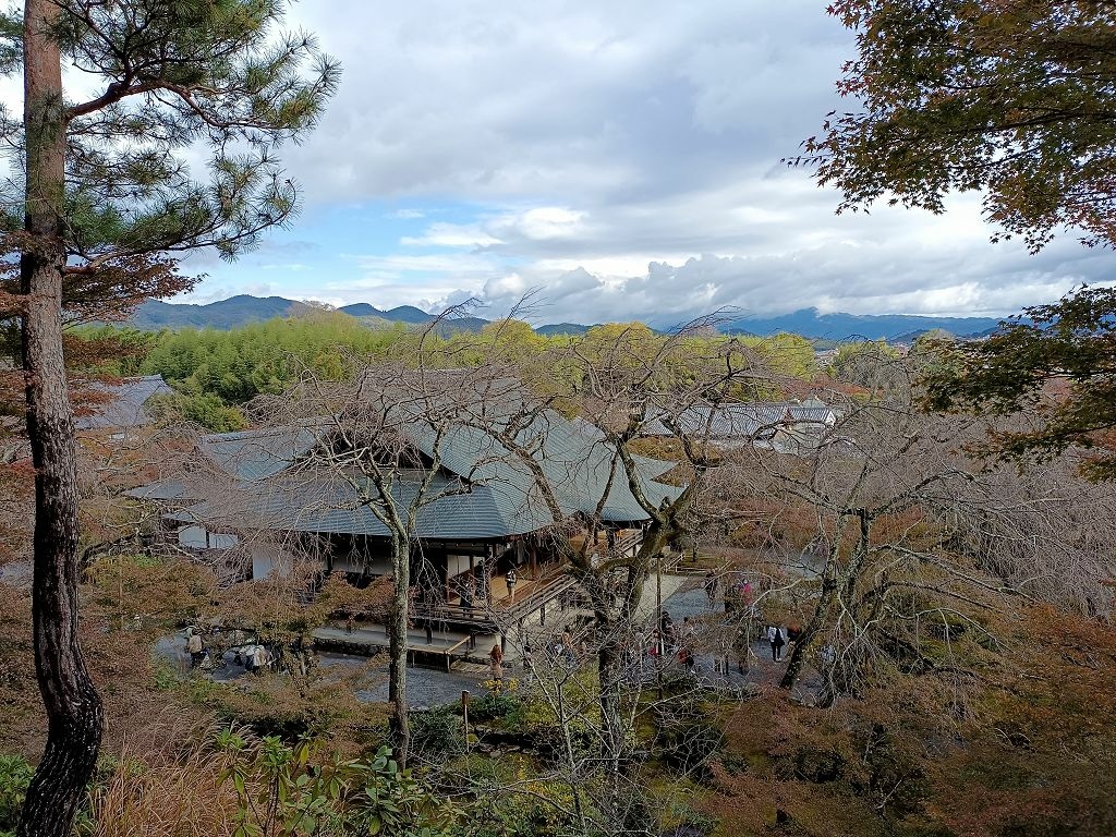 20231114~28關西自由行d4(嵐山與金閣寺)