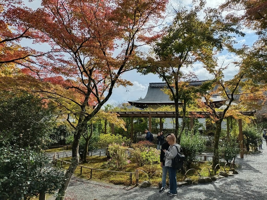 20231114~28關西自由行d4(嵐山與金閣寺)