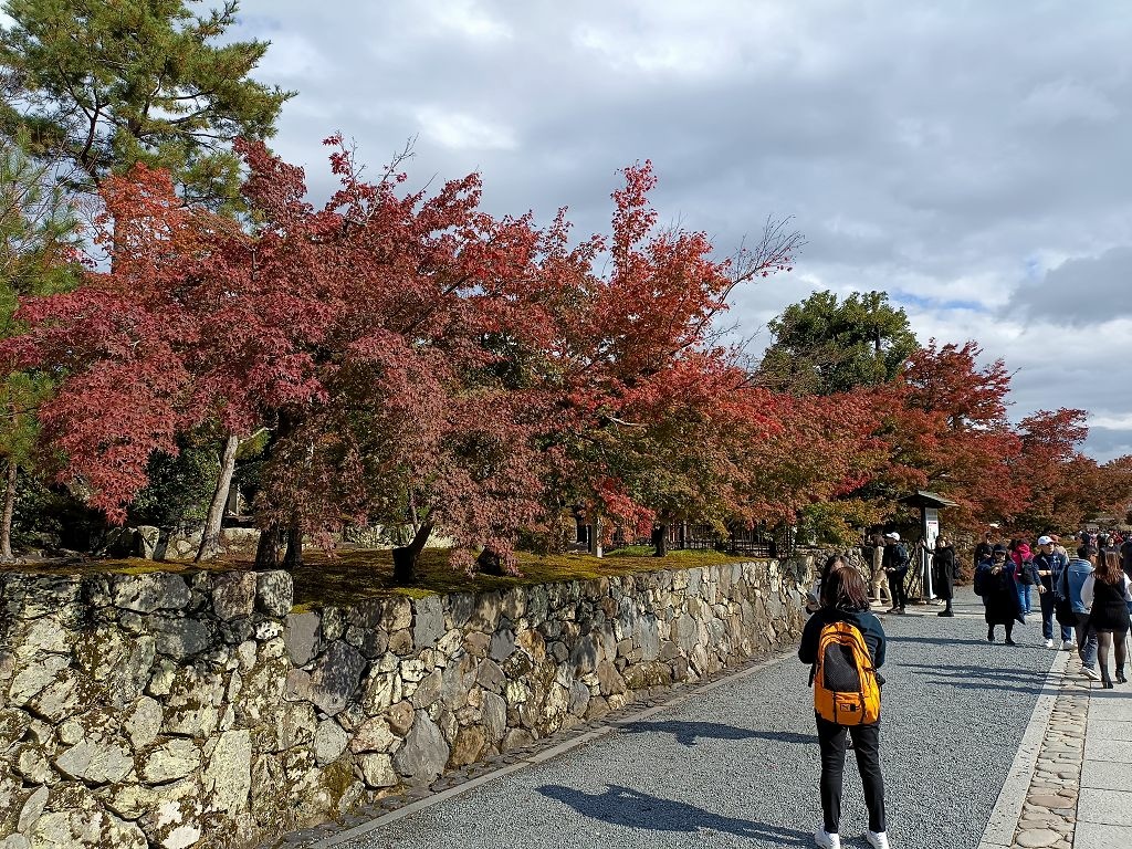 20231114~28關西自由行d4(嵐山與金閣寺)