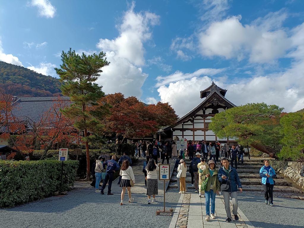 20231114~28關西自由行d4(嵐山與金閣寺)