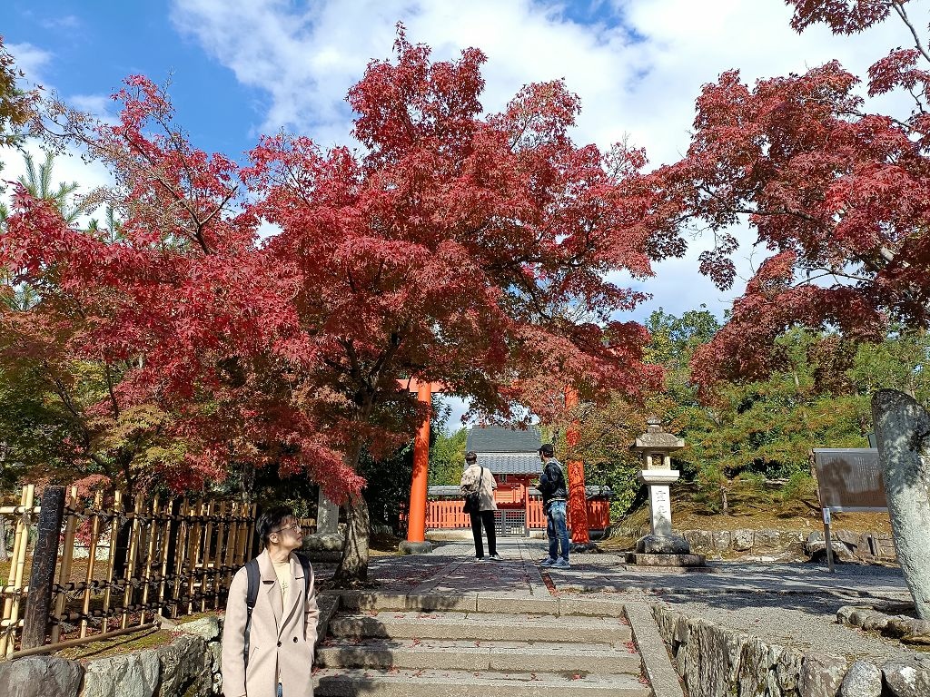 20231114~28關西自由行d4(嵐山與金閣寺)