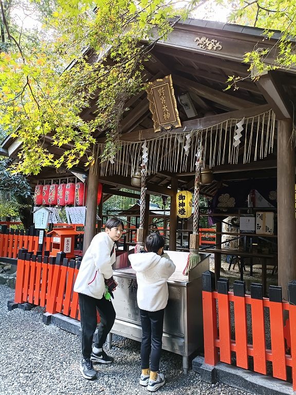 20231114~28關西自由行d4(嵐山與金閣寺)