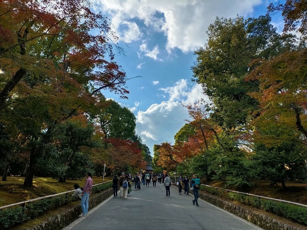 20231114~28關西自由行d4(嵐山與金閣寺)