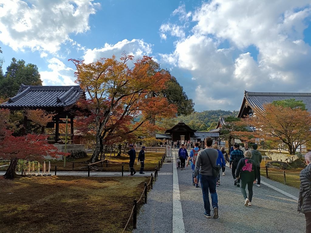 20231114~28關西自由行d4(嵐山與金閣寺)