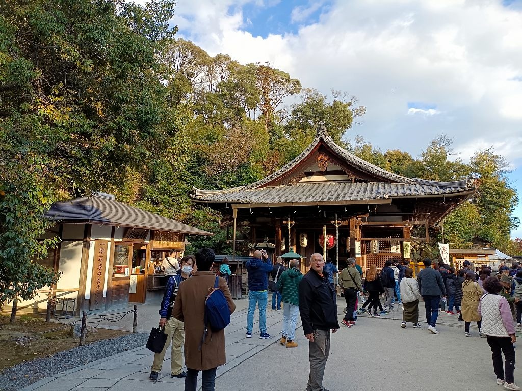 20231114~28關西自由行d4(嵐山與金閣寺)