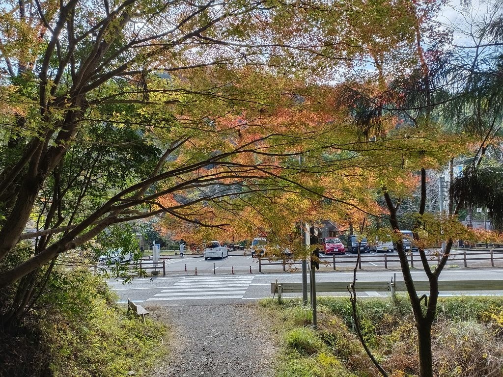 20231114~18關西自由行d5~d9(熊野古道中邊路2