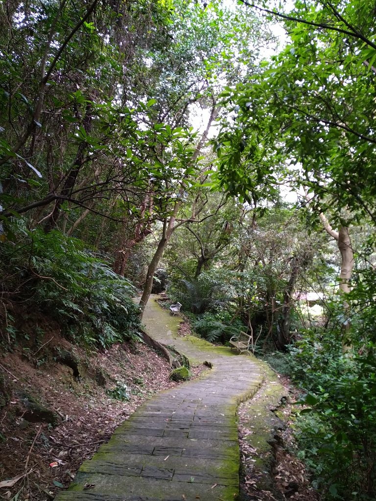 20240216 烘爐地拜土地公順登中和尖山,中和尖山東南峰